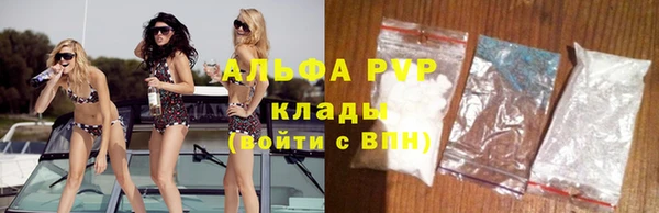 спайс Арсеньев