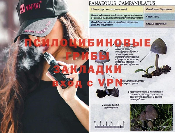 прущая мука Аркадак