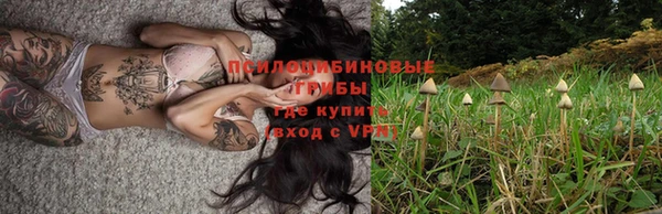 прущие грибы Армянск