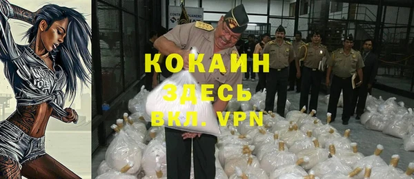 спайс Арсеньев
