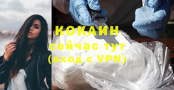 прущие грибы Армянск