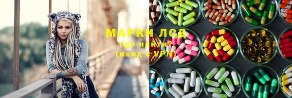 прущие грибы Армянск