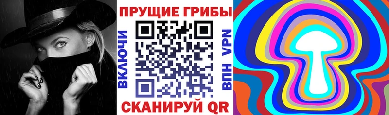 где найти   blacksprut   Псилоцибиновые грибы Psilocybe  Богданович 